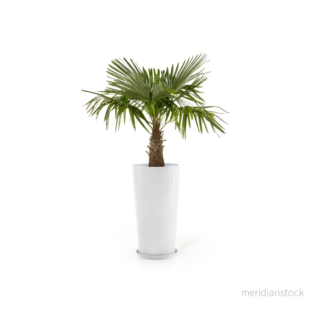 Kruka Amsterdam medelhög 66cm vit - Bild 2