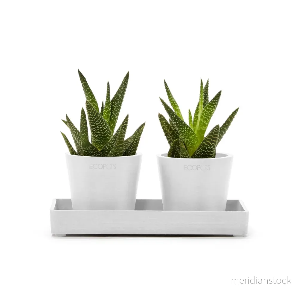 Kruka presentationsbricka 20cm vit Kruka presentationsbricka 20cm vit