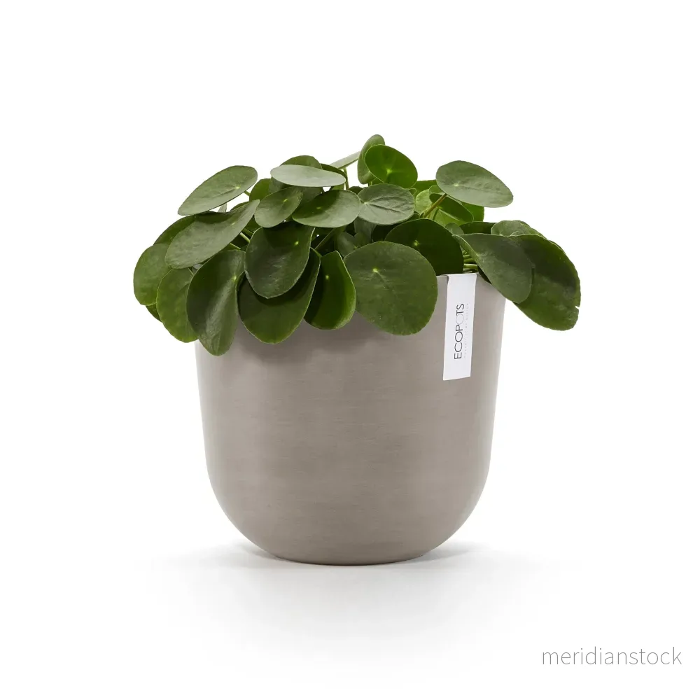 Kruka Oslo 25cm taupe - Bild 3