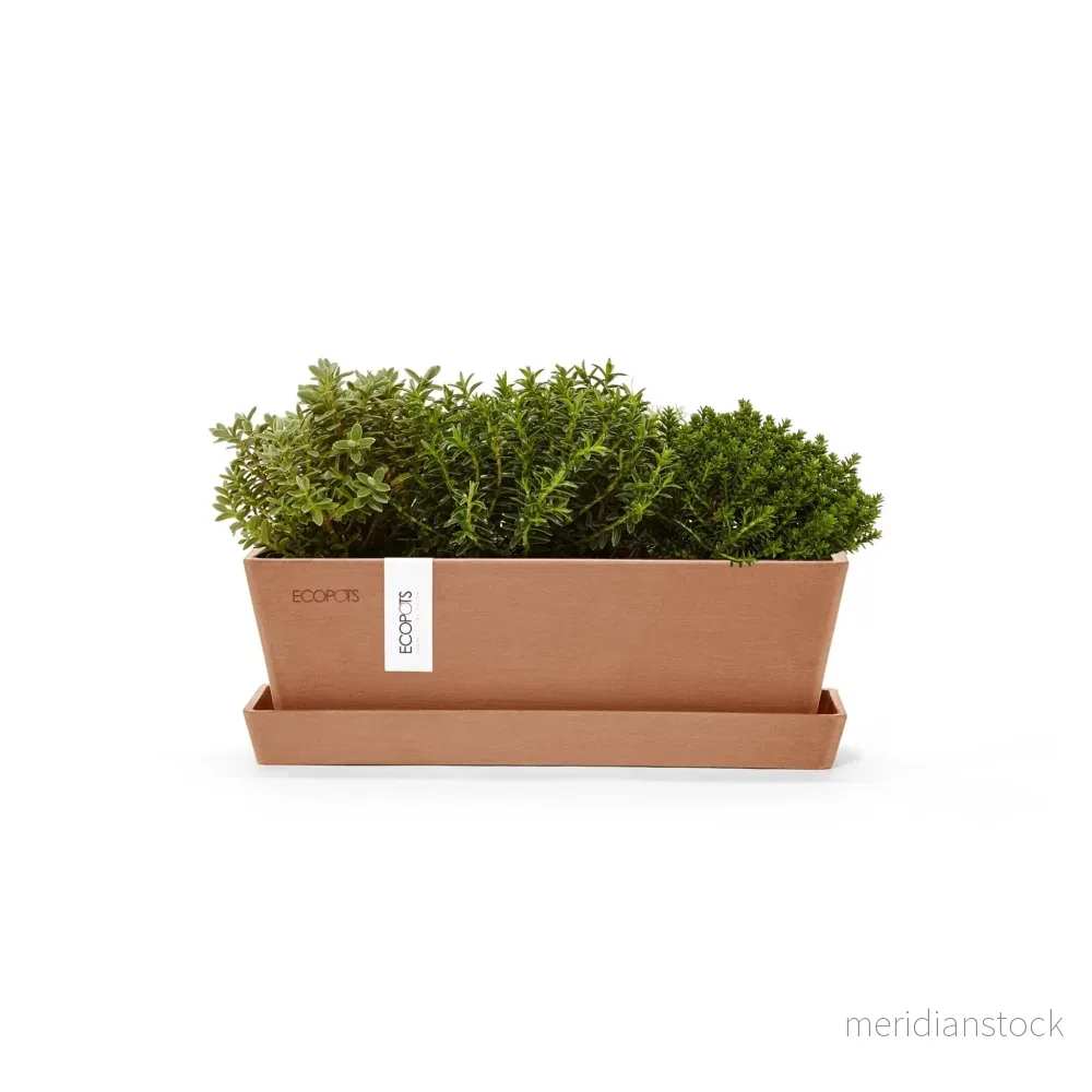 Blomkruka Bruge 25cm + fat terrakotta Blomkruka Bruge 25cm + fat terrakotta