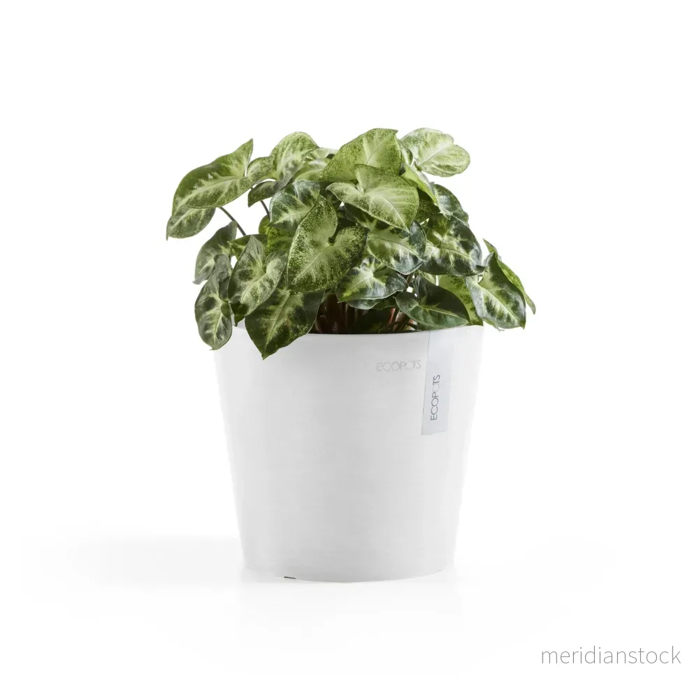 Kruka Amsterdam 17 cm vit - Bild 3