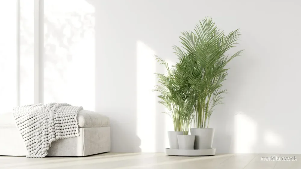 Kruka Dubai 56cm vit - Bild 3