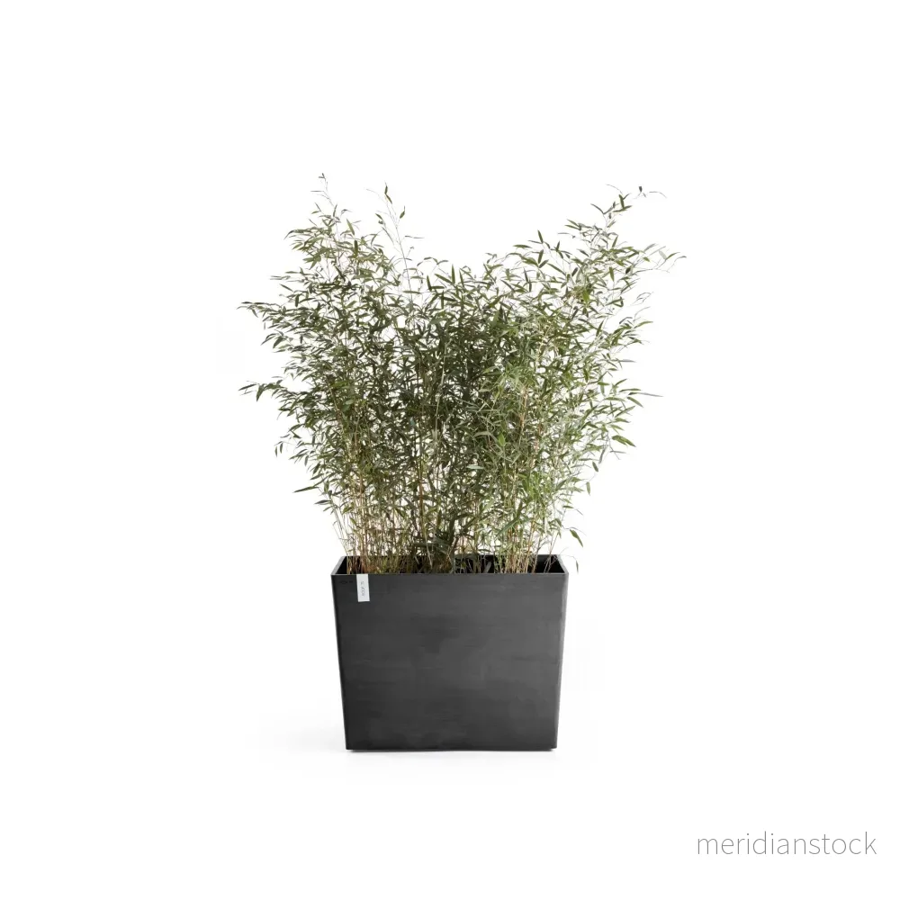 Kruka Paris med hjul 85cm mörkgrå