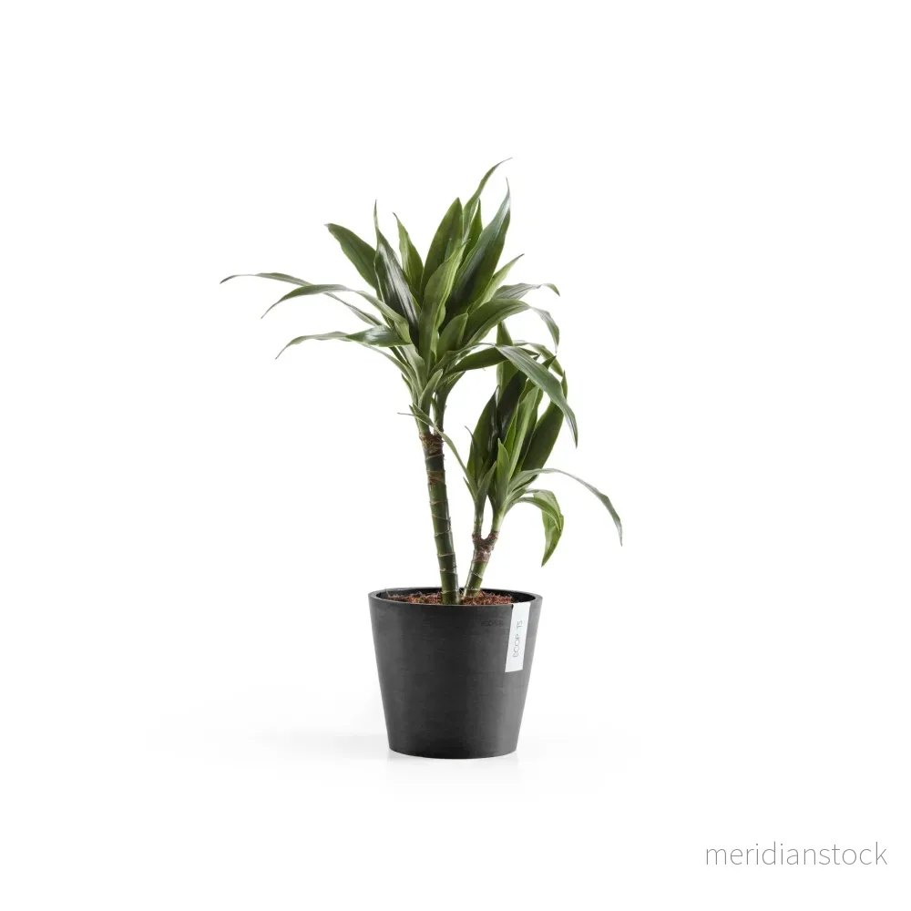Kruka Amsterdam 20cm mörkgrå Kruka Amsterdam 20cm mörkgrå