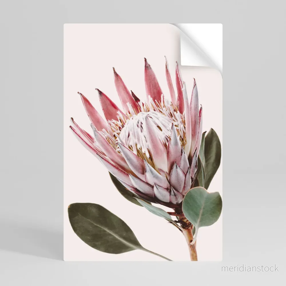 PROTEA FLOWER Självhäftande Vertikal Poster - Bild 2