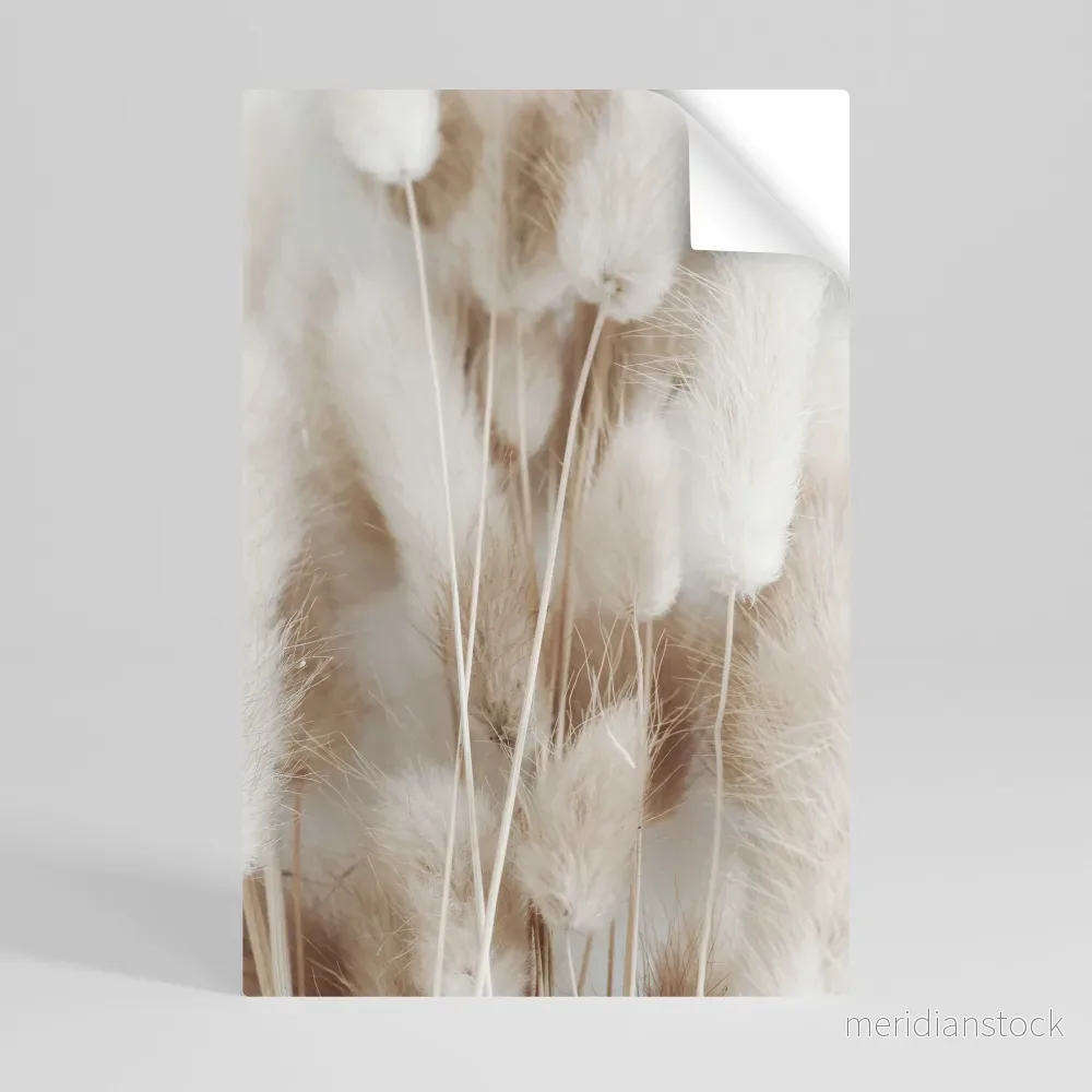 SOFTNESS IN FOCUS Självhäftande Vertikal Poster - Bild 3
