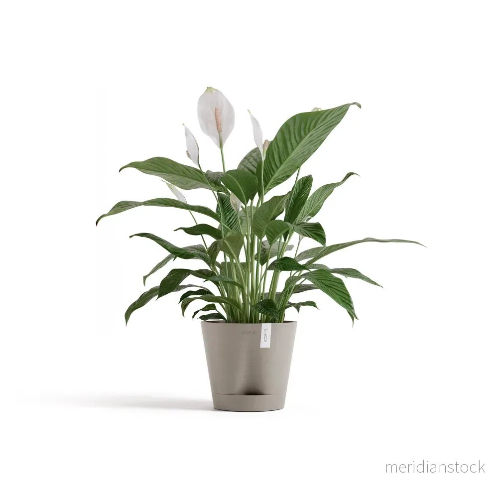 Kruka Venedig 2.0 20cm taupe