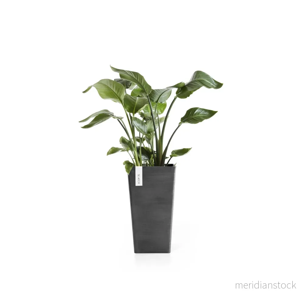 Kruka Rotterdam medelhög 56cm mörkgrå Kruka Rotterdam medelhög 56cm mörkgrå