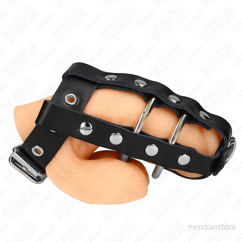 KINK - ADJUSTABLE PENIS CAGE WITH LOCK - Bild 3