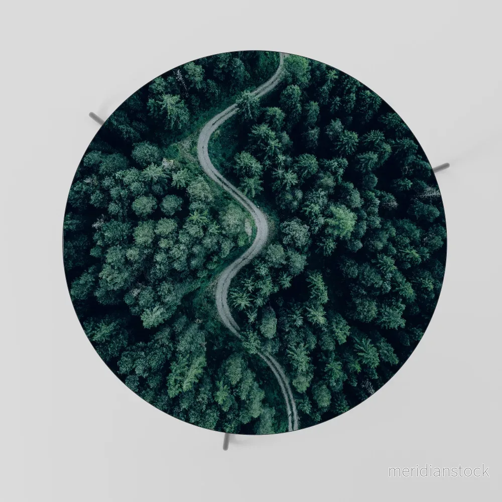 FORESTED SERPENTINE ROUTE Soffbord - Bild 2