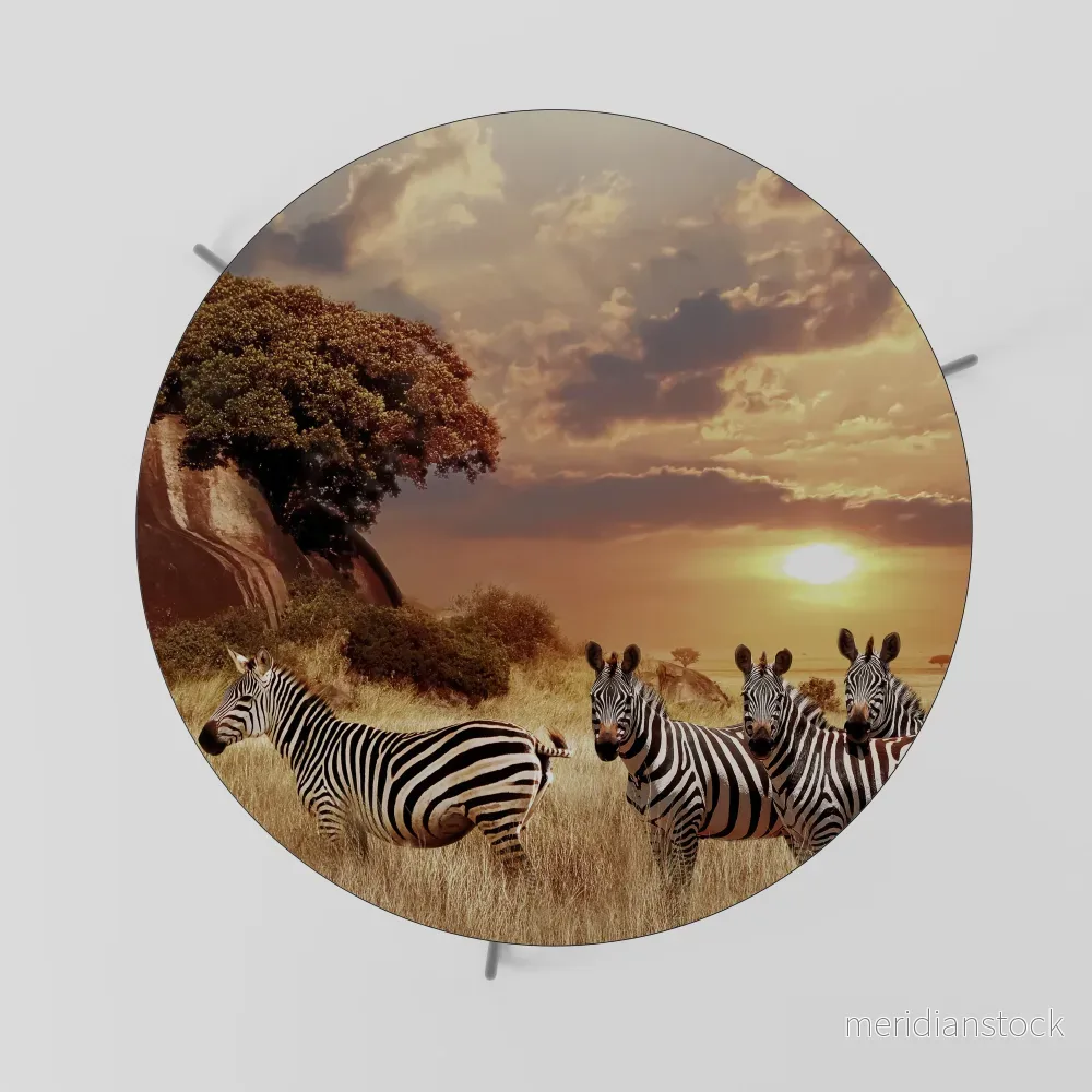 ZEBRA SUNSET SERENADE Soffbord - Bild 2