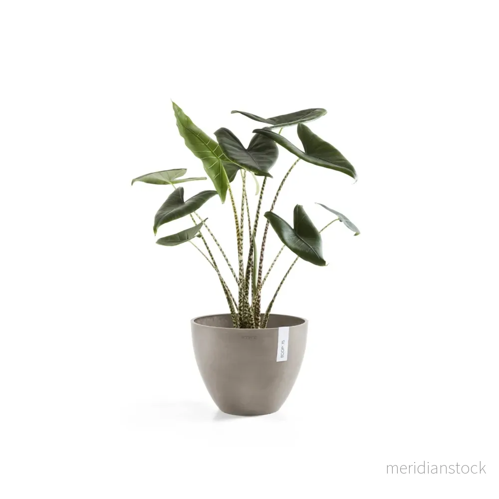 Kruka Antwerpen 30cm taupe Kruka Antwerpen 30cm taupe