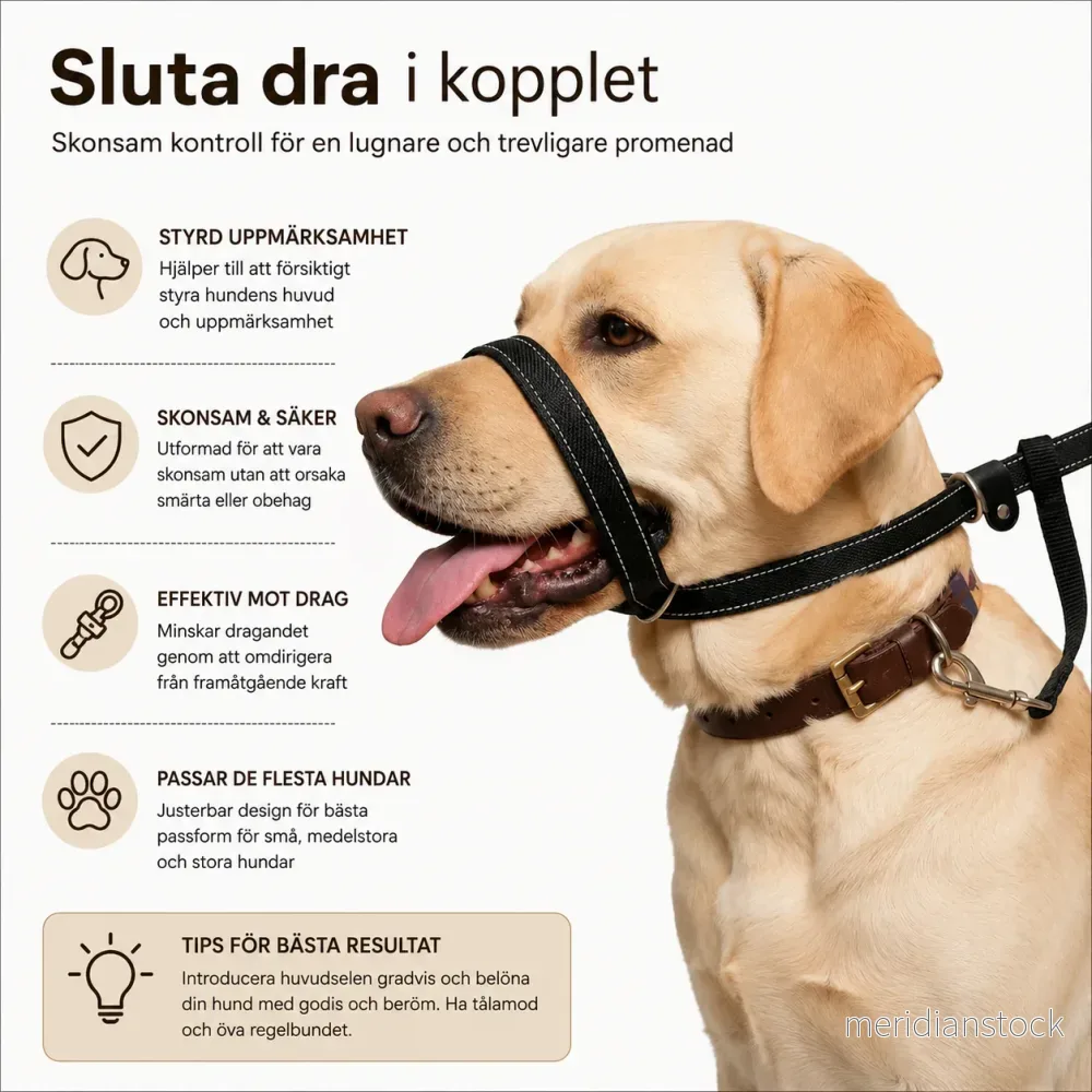 LugnTass™ – Lugna promenader med full kontroll - Bild 2