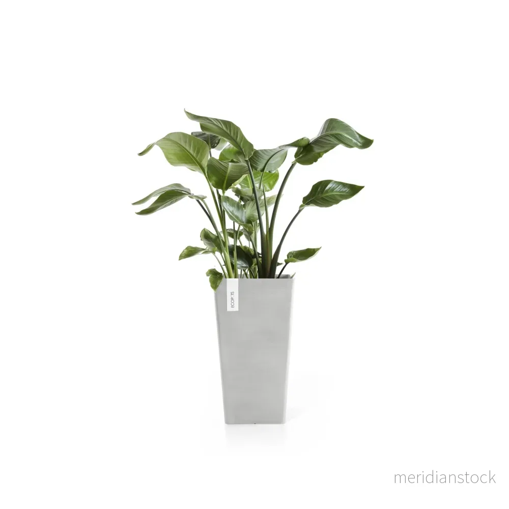 Kruka Rotterdam medelhög 56cm vitgrå