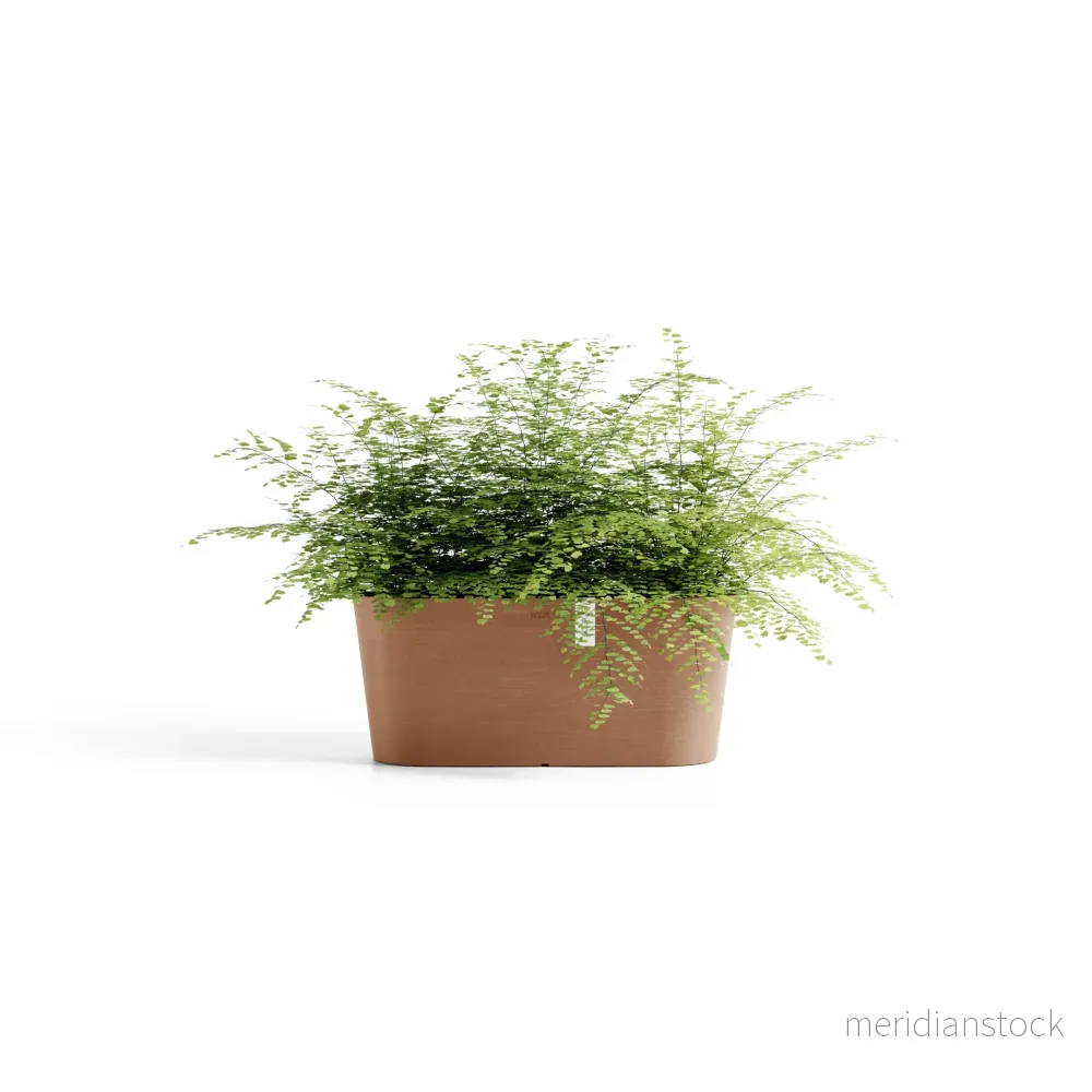 Kruka Tokyo 40cm terrakotta Kruka Tokyo 40cm terrakotta