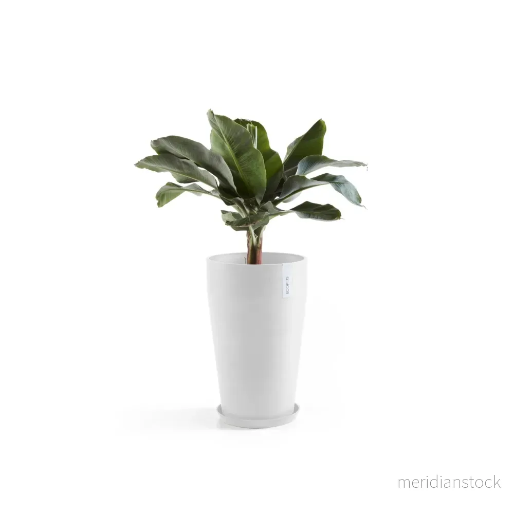 Kruka Sankara medelhög 55cm vit - Bild 3