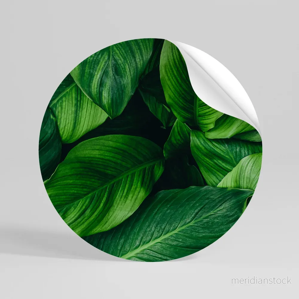 VIBRANT LEAFY EMBRACE Rund väggdekal VIBRANT LEAFY EMBRACE Rund väggdekal