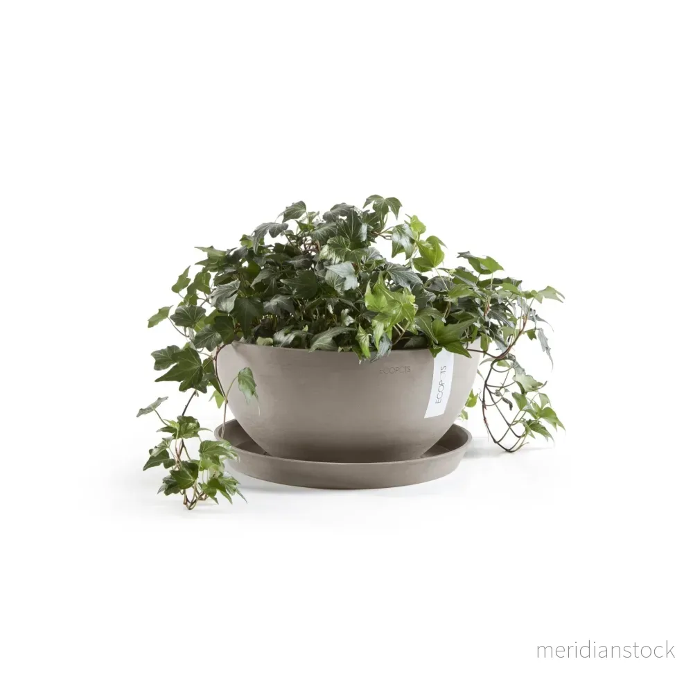 Kruka Bryssel 35cm taupe - Bild 2