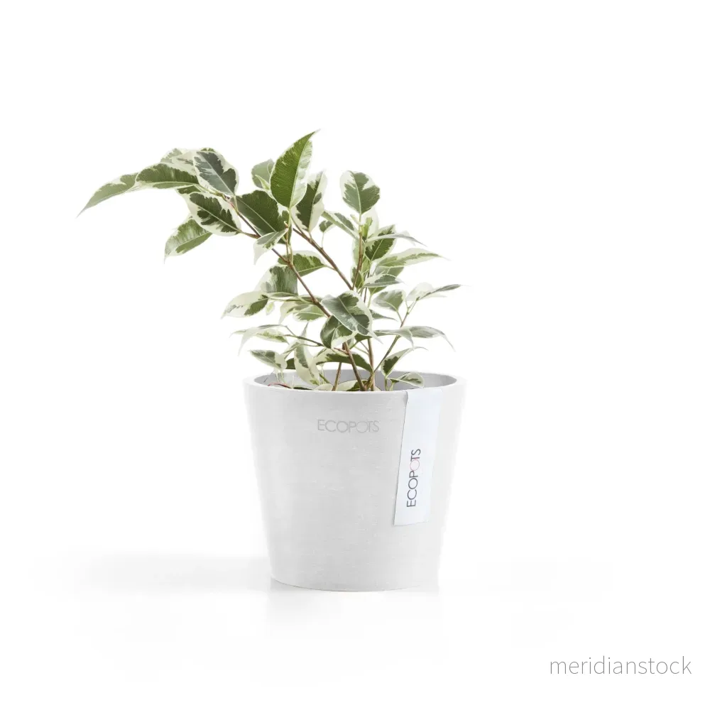 Kruka Amsterdam 10,5cm vit Kruka Amsterdam 10,5cm vit