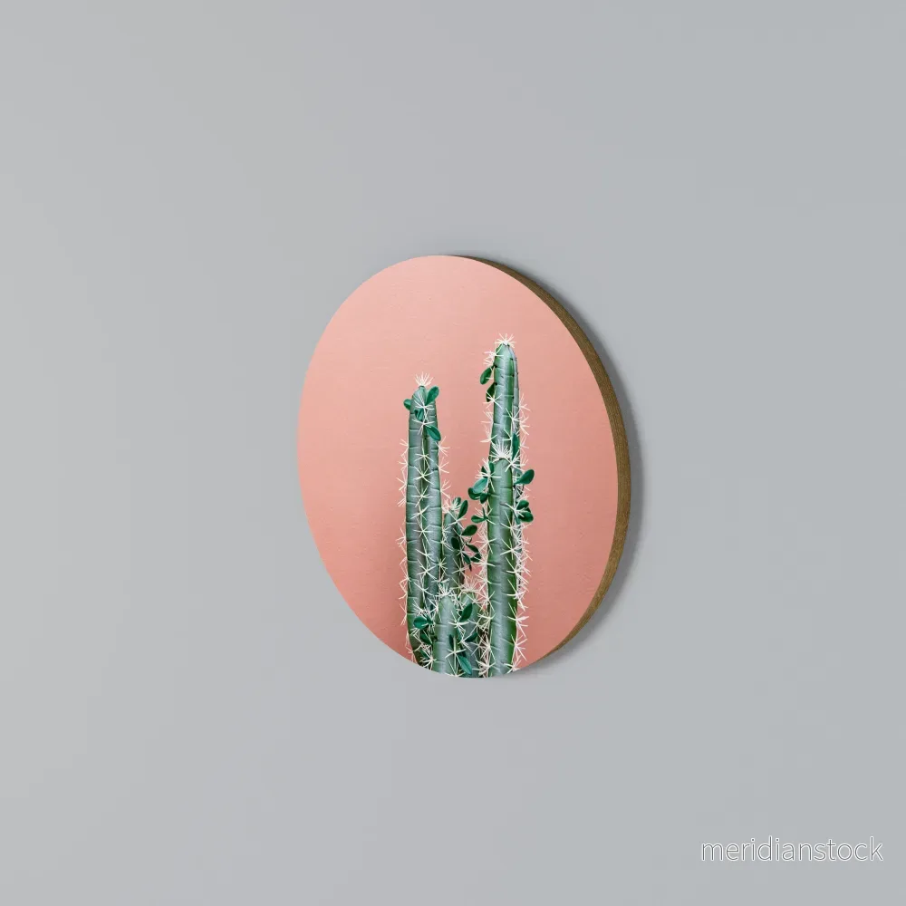 LORD CACTUS Rund väggdekor - Bild 3