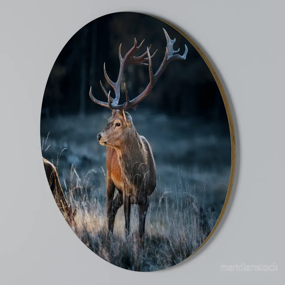 ANTLERED REGALITY Rund väggdekor ANTLERED REGALITY Rund väggdekor