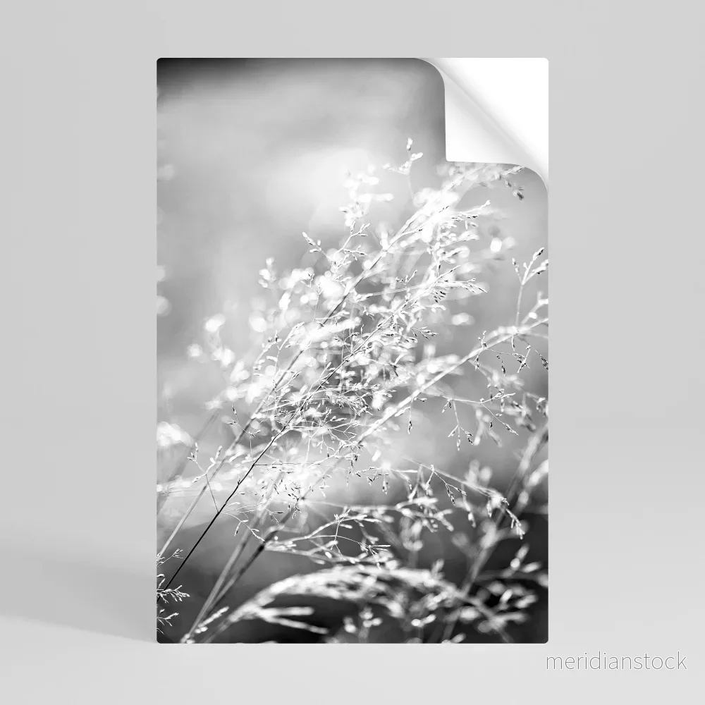 LIGHTSWEPT HARMONY Självhäftande Vertikal Poster - Bild 2