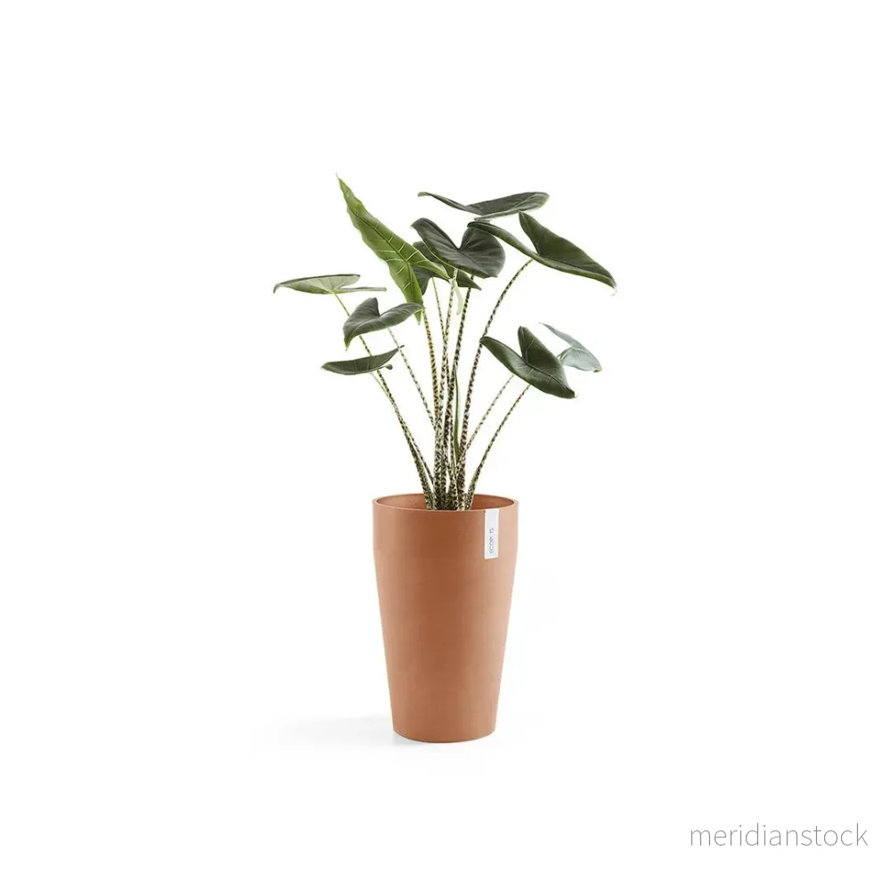 Kruka Sankara medelhög 55cm terrakotta Kruka Sankara medelhög 55cm terrakotta