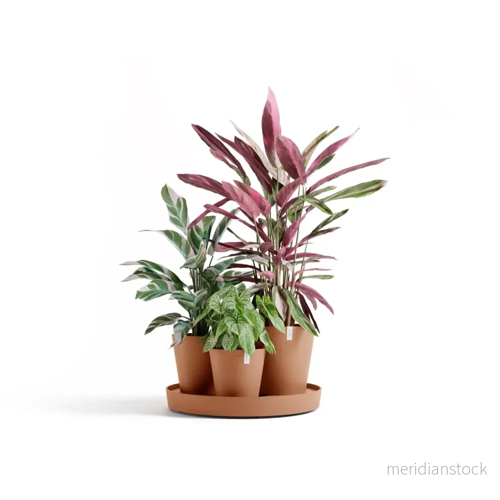 Kruka Dubai 56cm terrakotta Kruka Dubai 56cm terrakotta