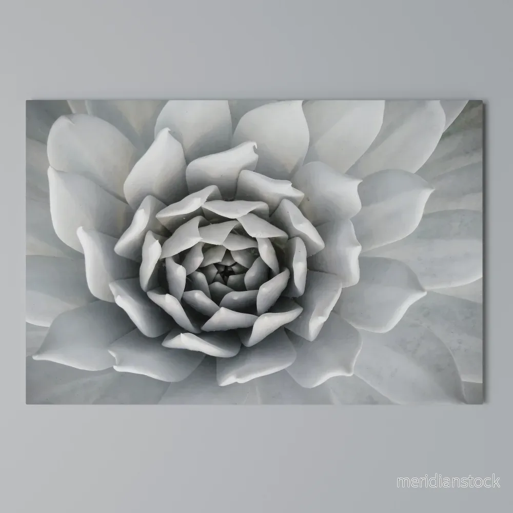 ELEGANT PETAL SWIRL Horizontal Canvas Print - Bild 3