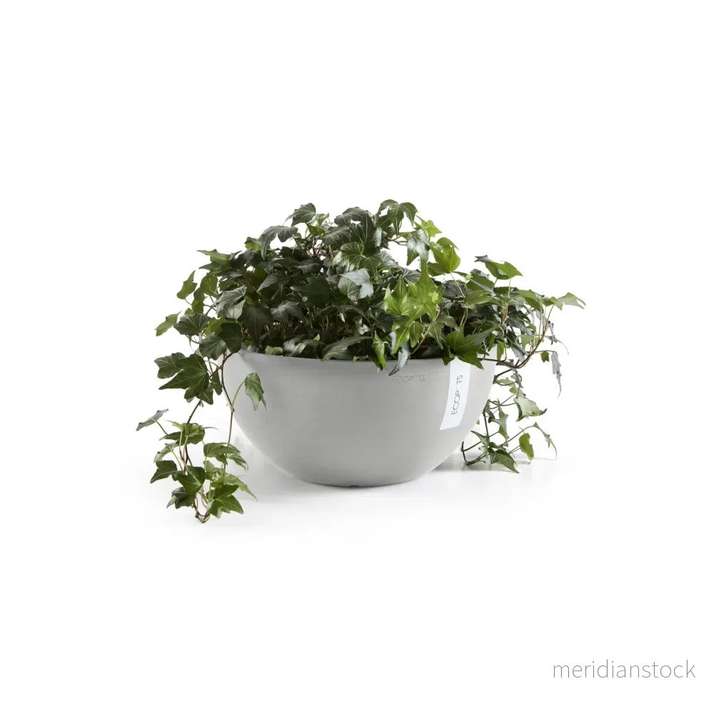 Kruka Bryssel 30cm vitgrå - Bild 3