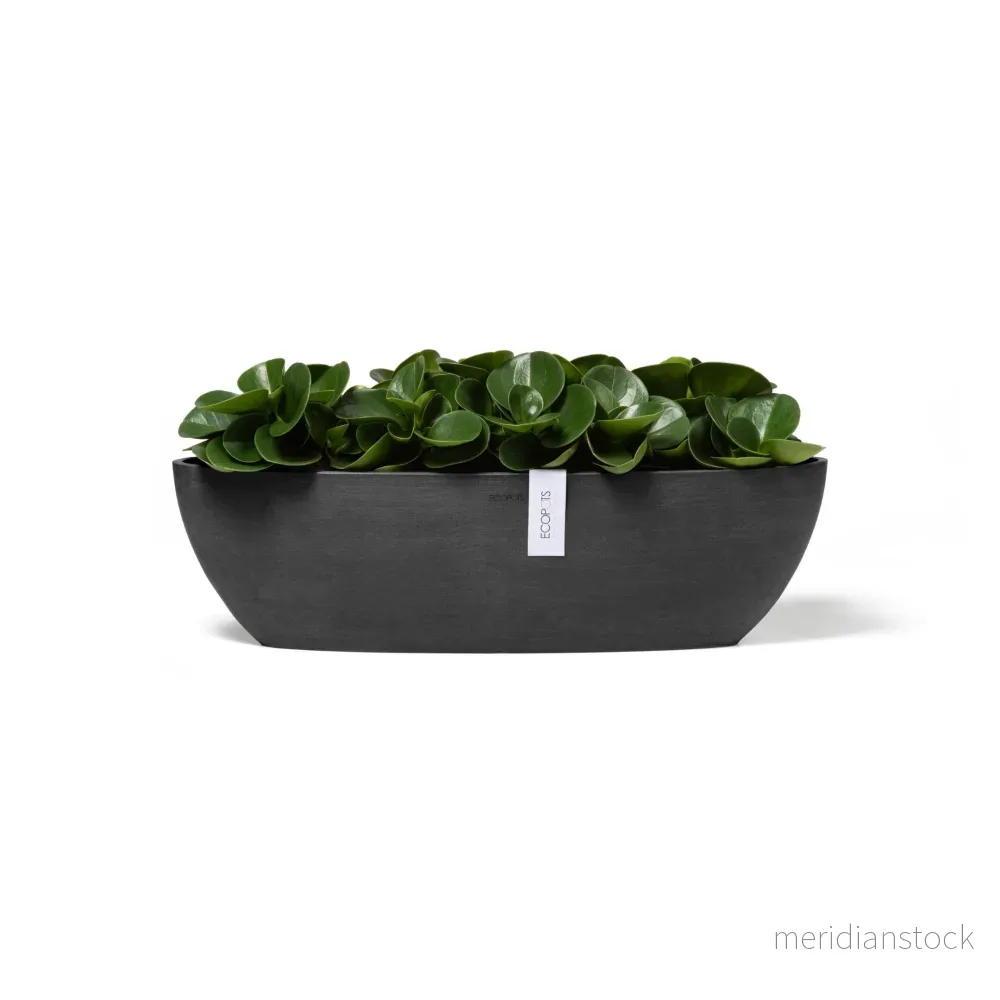 Kruka Sofia lång 56cm mörkgrå Kruka Sofia lång 56cm mörkgrå