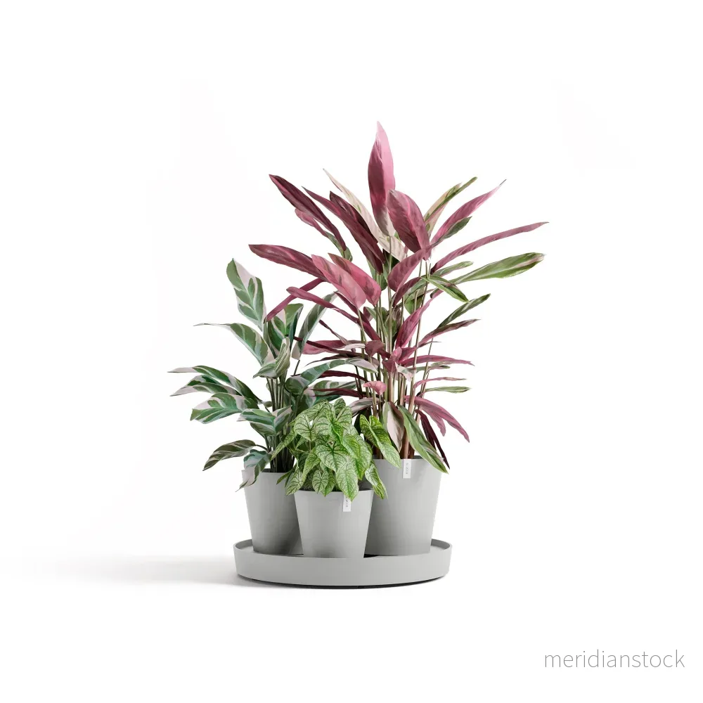Kruka Dubai 56cm vitgrå Kruka Dubai 56cm vitgrå