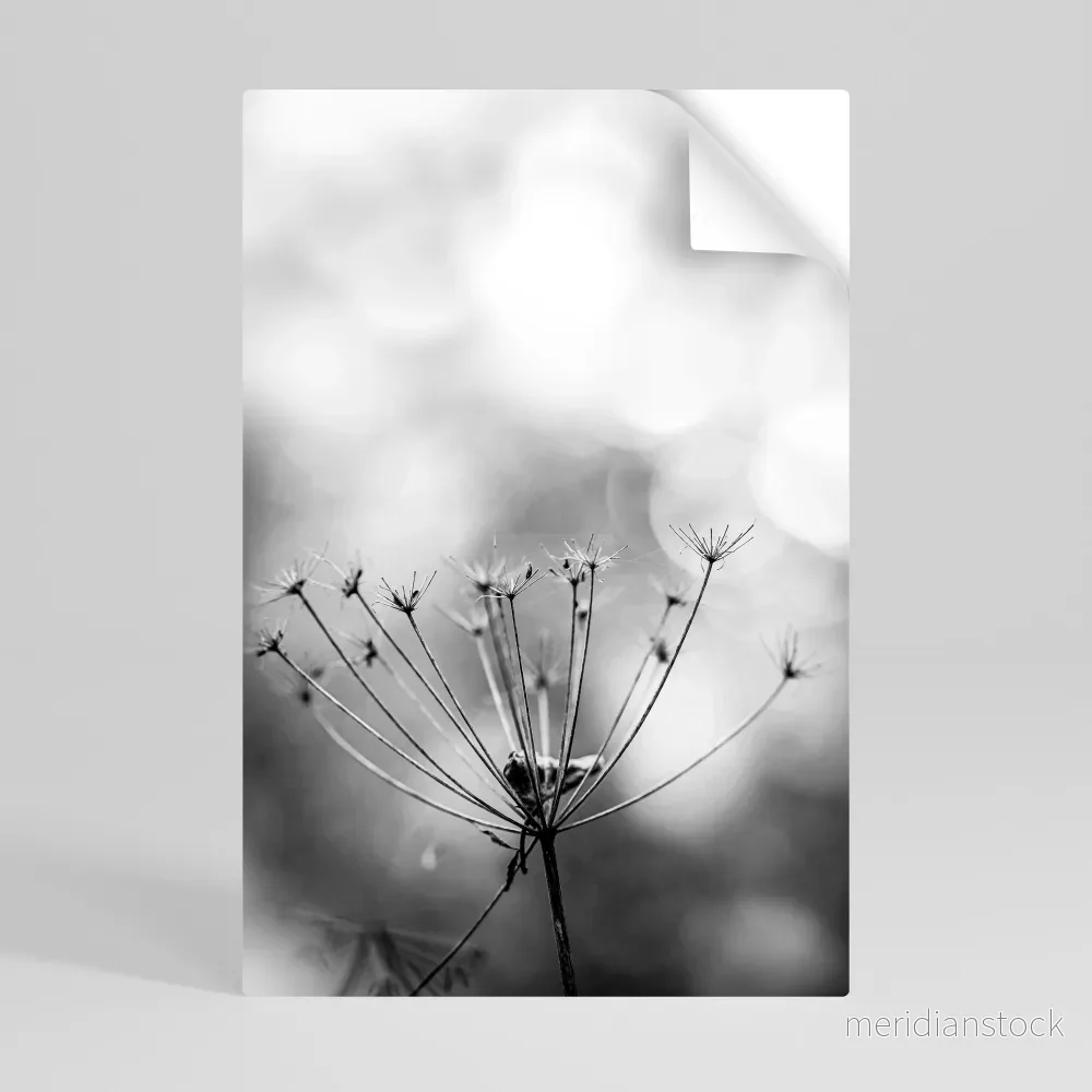 MINIMALIST BLOOM Självhäftande Vertikal Poster - Bild 3