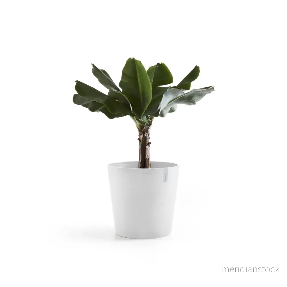 Kruka Amsterdam 60cm vit Kruka Amsterdam 60cm vit
