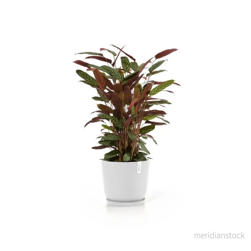 Kruka Oslo 35cm vit - Bild 2
