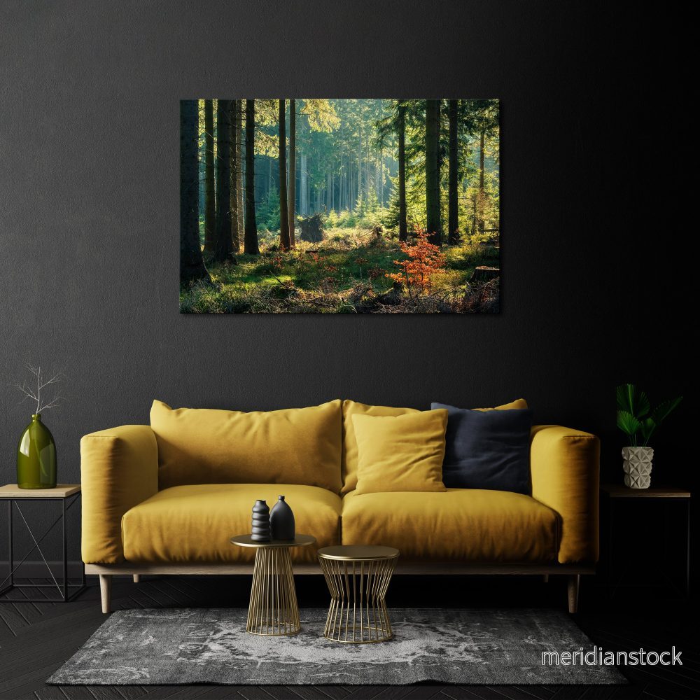 SUNLIT FOREST SERENADE Horizontal Canvas Print - Bild 2