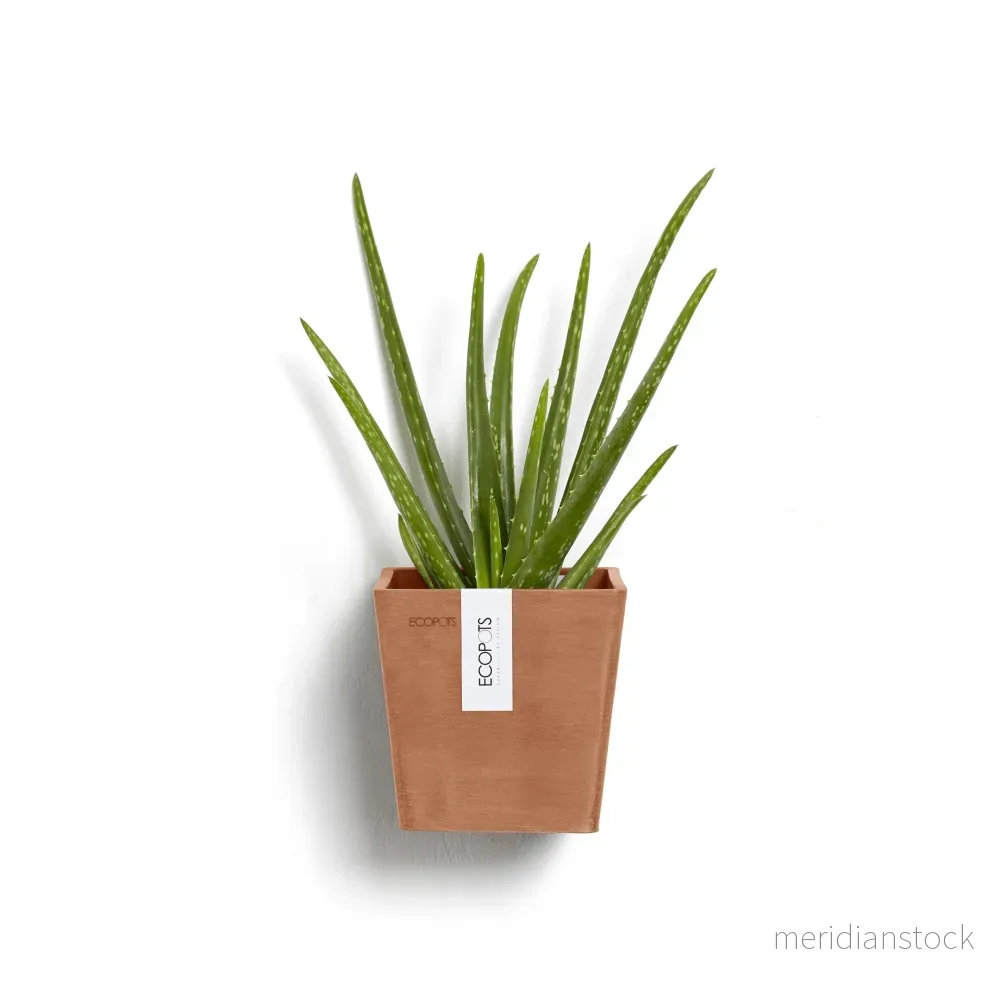 Kruka Manhattan vägg 15cm terrakotta