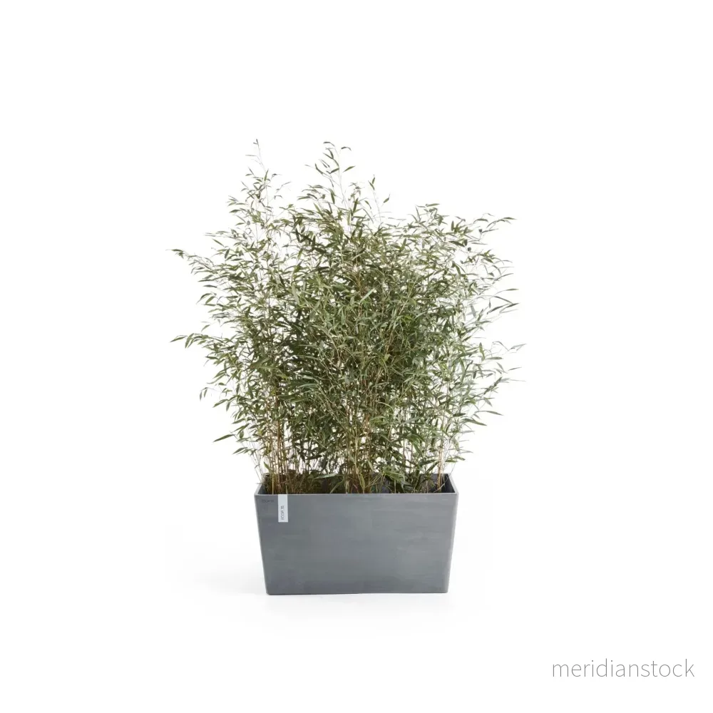 Kruka Paris 60cm blågrå