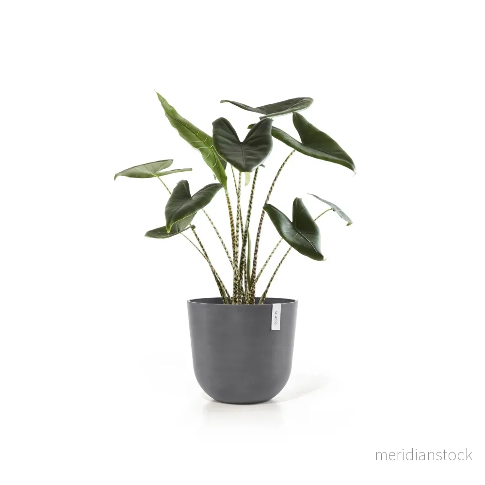Kruka Oslo 45cm grå