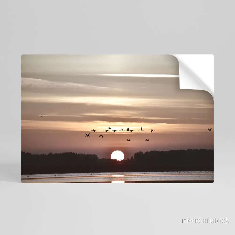 SUNSET FLIGHT SYMPHONY Självhäftande Horisontell Poster - Bild 2