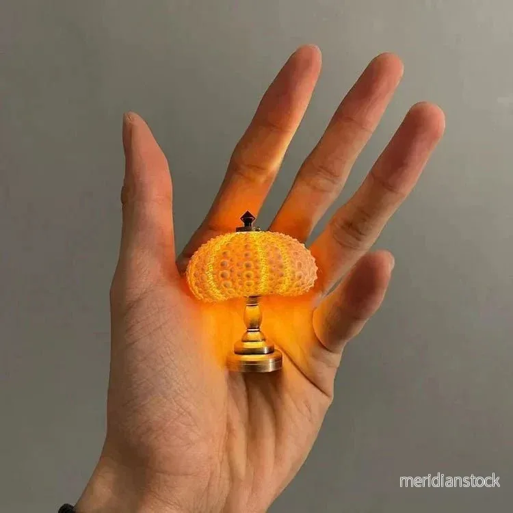 DIY Sjöborrsnäcka Nattljus - LumiUrchin - Bild 3