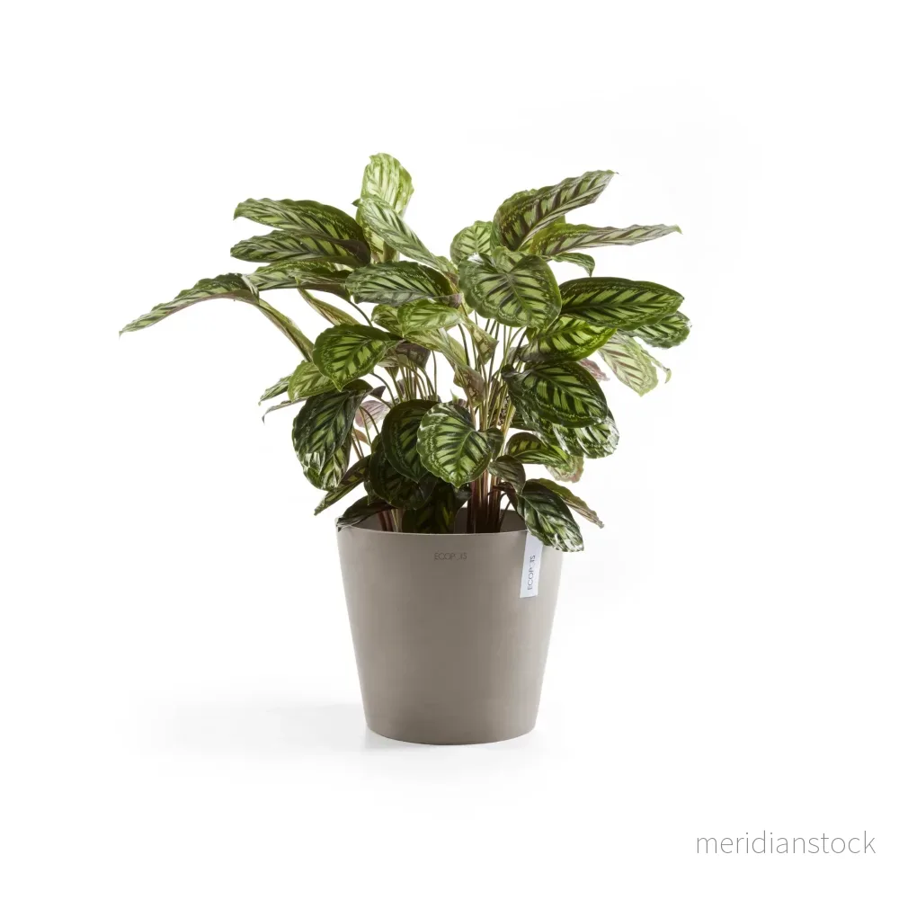 Kruka Amsterdam 30cm taupe Kruka Amsterdam 30cm taupe
