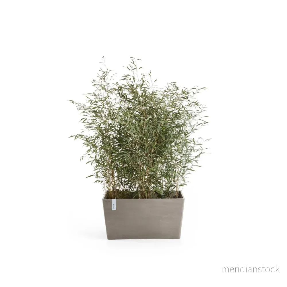 Kruka Paris 60cm taupe