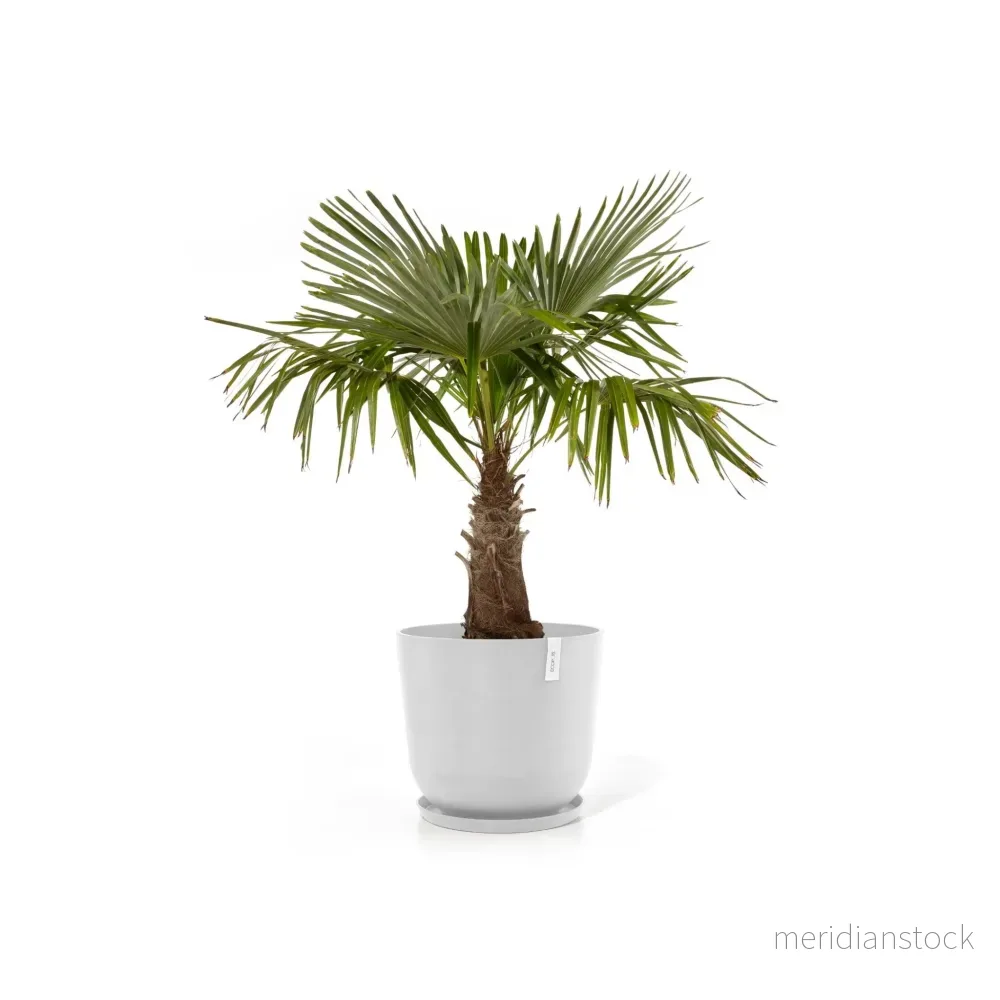 Kruka Oslo 55cm vit - Bild 3