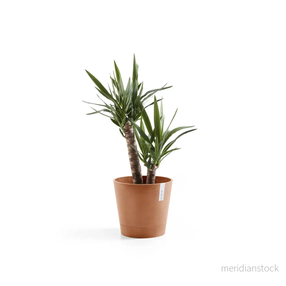 Kruka Venedig 30cm terrakotta Kruka Venedig 30cm terrakotta