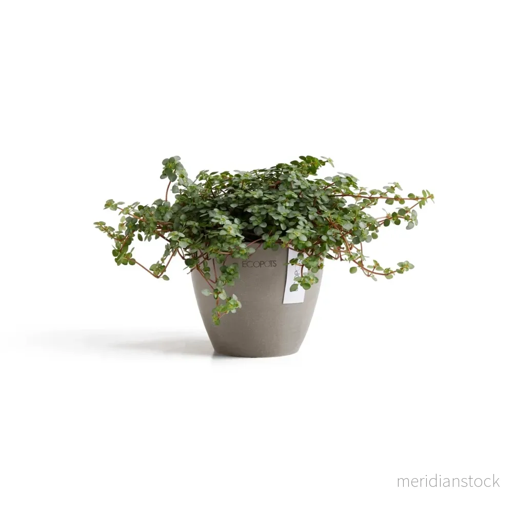 Kruka Antwerpen 11cm taupe Kruka Antwerpen 11cm taupe