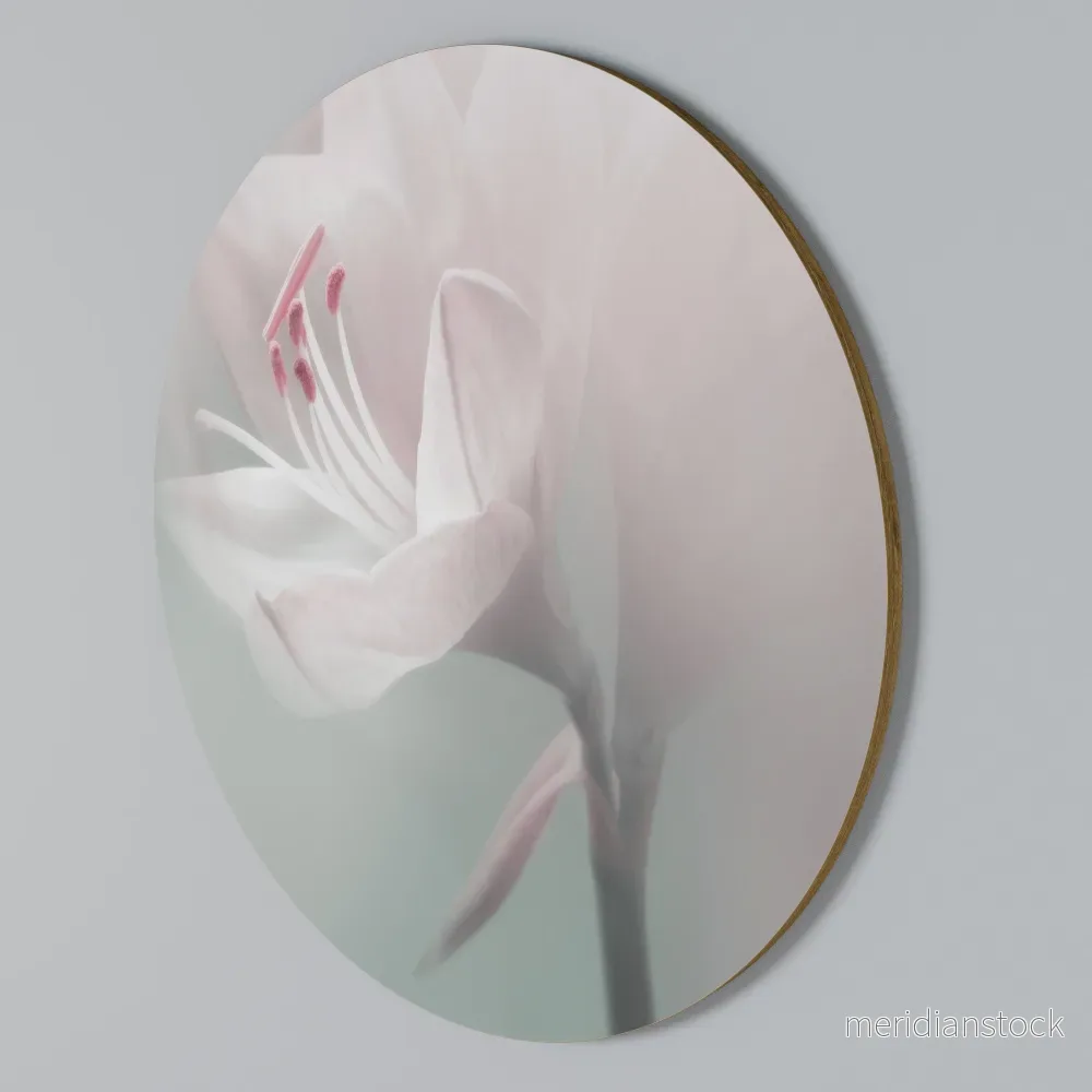 GENTLE LILY Rund väggdekor GENTLE LILY Rund väggdekor