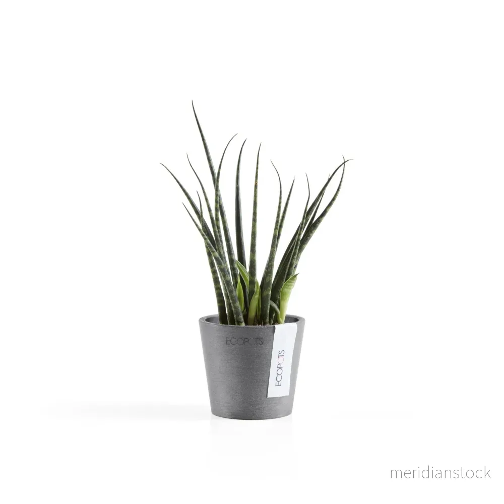 Kruka Amsterdam 8cm grå