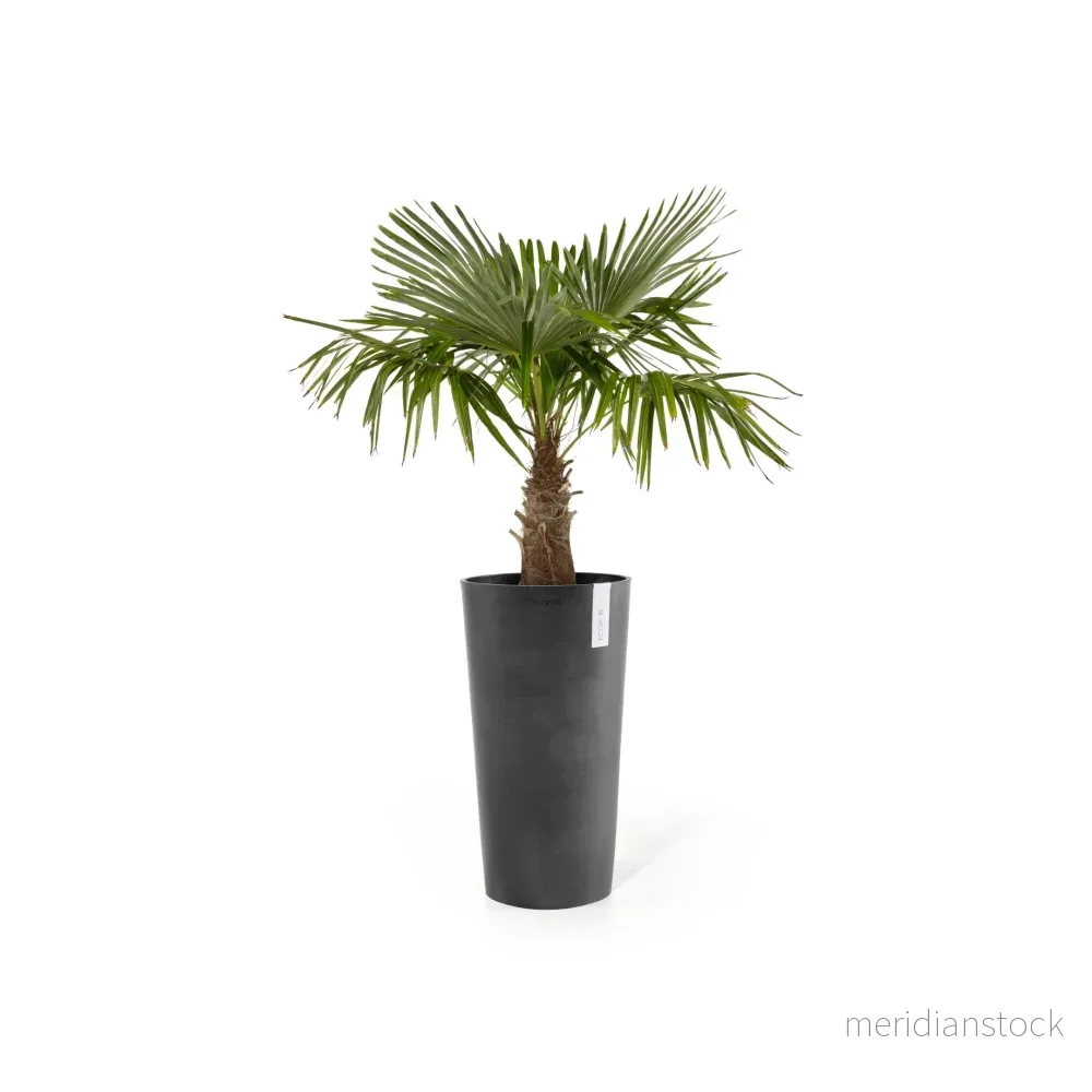 Kruka Amsterdam medelhög 66cm mörkgrå