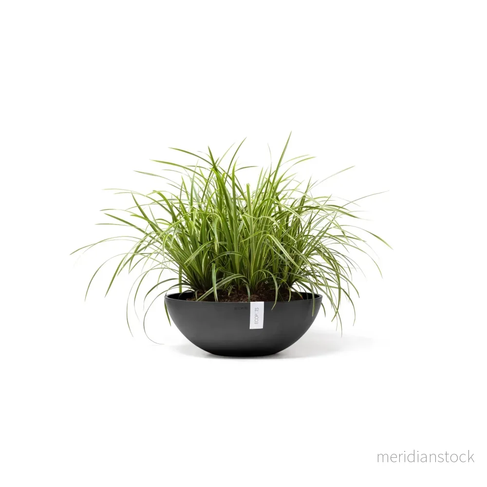 Kruka Wien 50cm mörkgrå